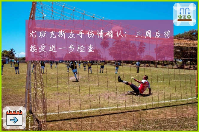 尤班克斯左手伤情确认：三周后将接受进一步检查