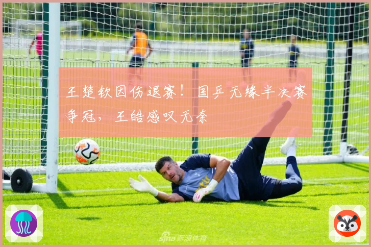 王楚钦因伤退赛！国乒无缘半决赛争冠，王皓感叹无奈