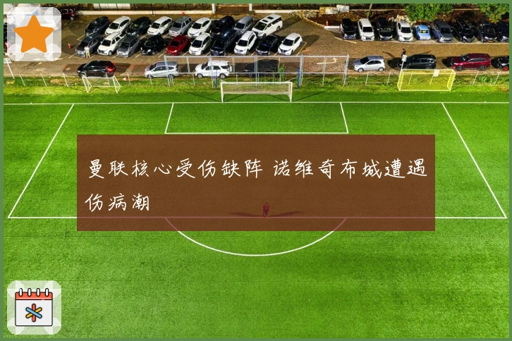 曼联核心受伤缺阵 诺维奇布城遭遇伤病潮