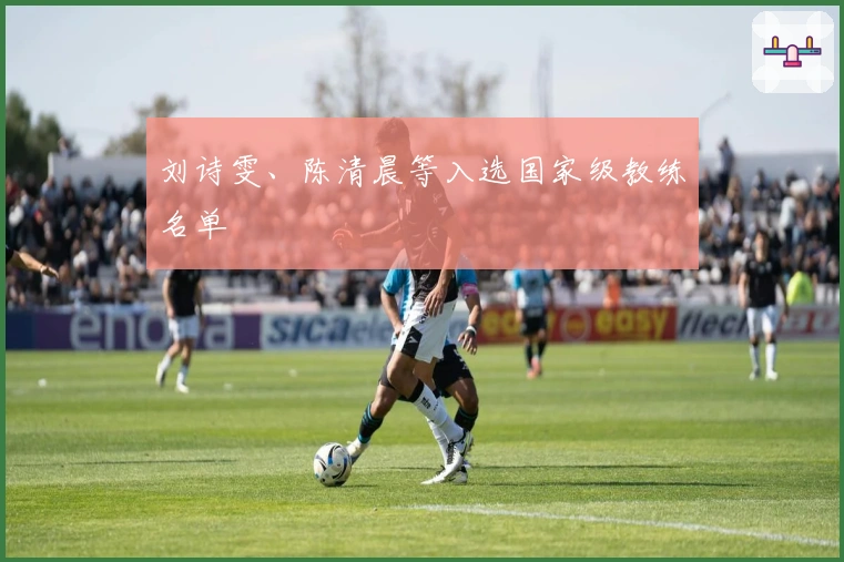 刘诗雯、陈清晨等入选国家级教练名单