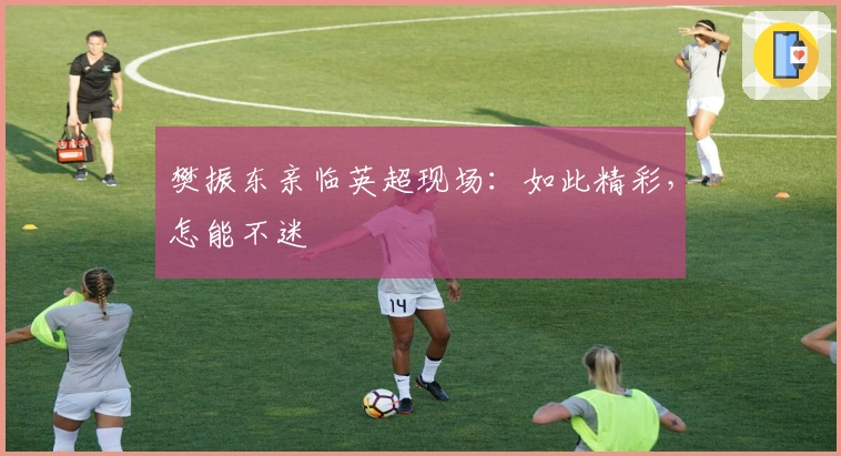 樊振东亲临英超现场：如此精彩，怎能不迷